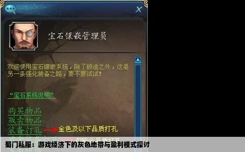 蜀门私服：游戏经济下的灰色地带与盈利模式探讨