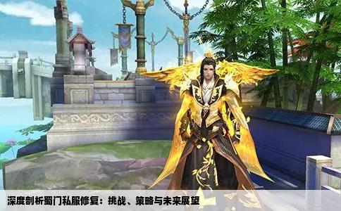 深度剖析蜀门私服修复：挑战、策略与未来展望