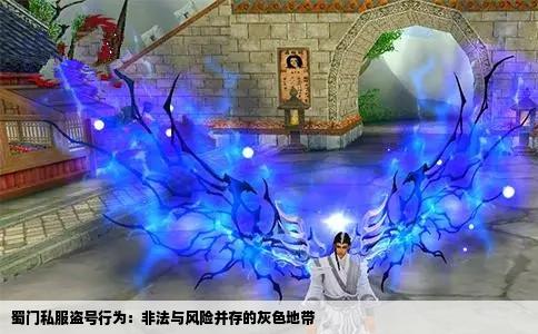 蜀门私服盗号行为：非法与风险并存的灰色地带