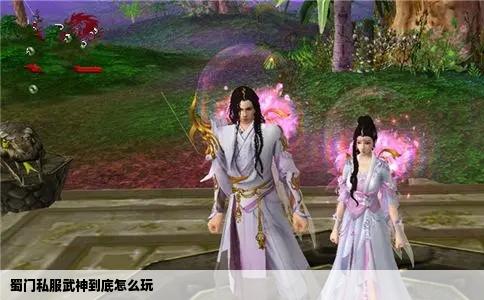 蜀门私服武神到底怎么玩