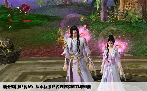 新开蜀门SF网站：探索私服世界的独特魅力与挑战