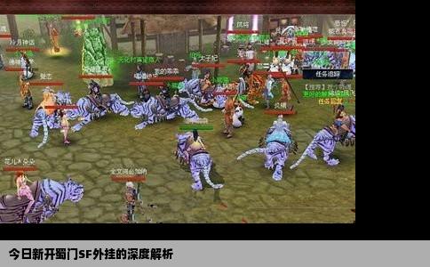 今日新开蜀门SF外挂的深度解析