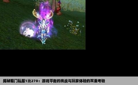 揭秘蜀门私服1比270：游戏平衡的挑战与玩家体验的双重考验
