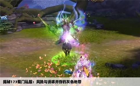 揭秘173蜀门私服：风险与诱惑并存的灰色地带